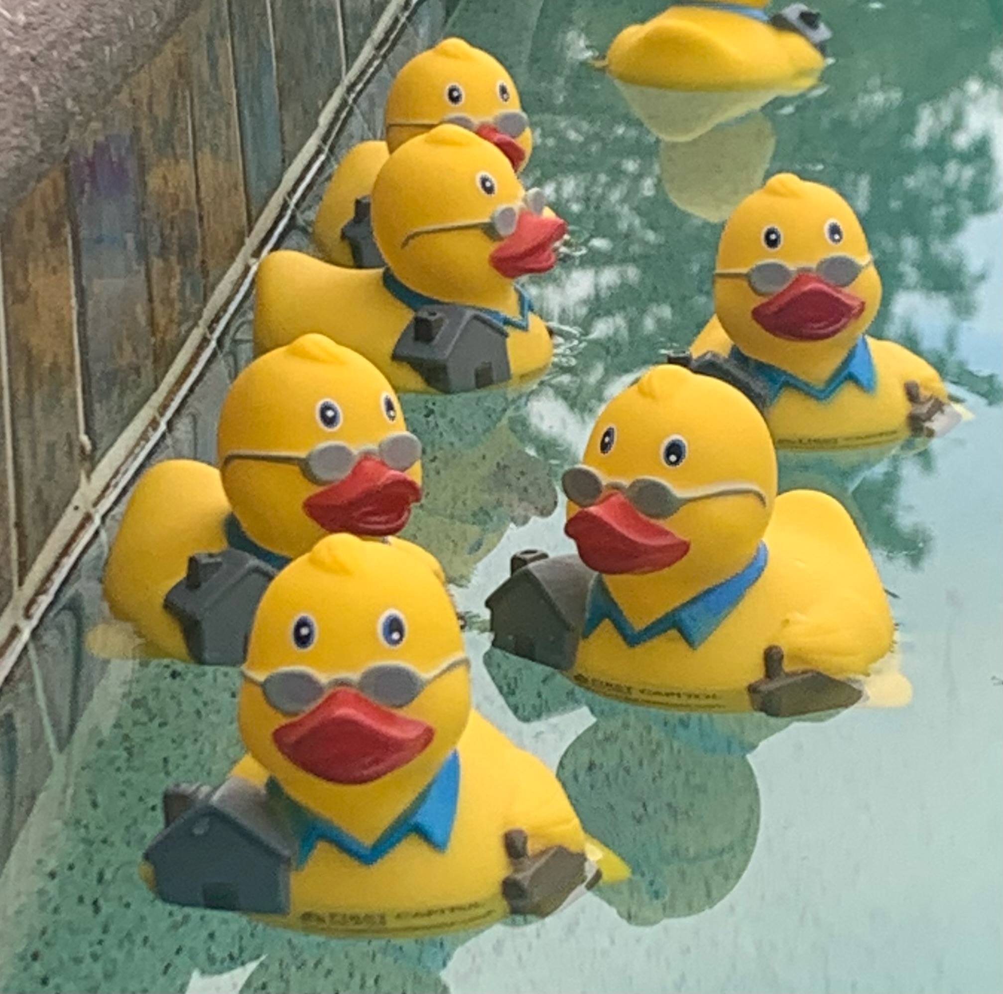 Ducked